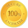 100% Secure payment